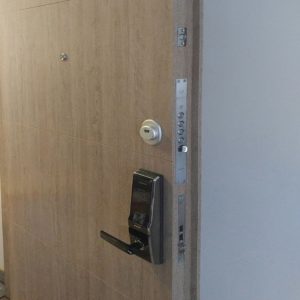 Puerta de Seguridad con Cerradura Inteligente 18