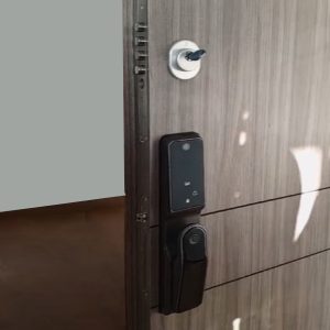 Puerta de Seguridad Con cerradura Inteligente 07