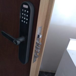 Puerta de Seguridad con Cerradura Inteligente 21