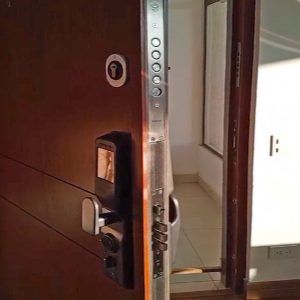 Puerta de Seguridad con Cerraduras Inteligentes 08